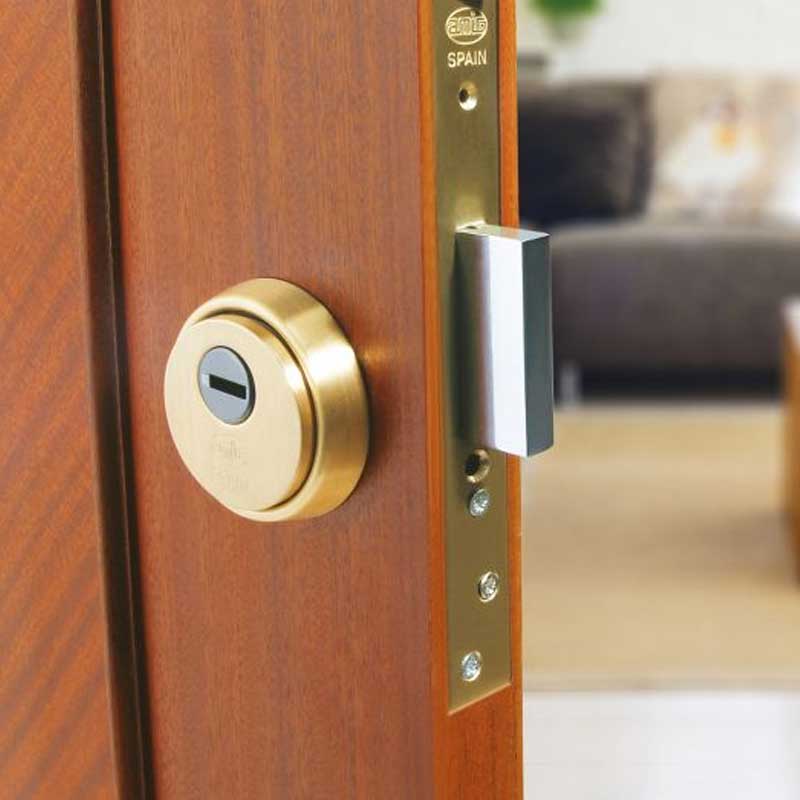 Escudo Seguridad Cerradura AMIG 31 puerta