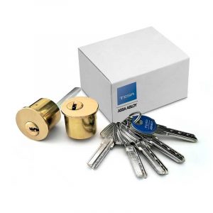 cilindro t60 extensible cerradura tesa 300