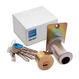 cilindro-t60-placa-fija-cerradura tesa 300 precio