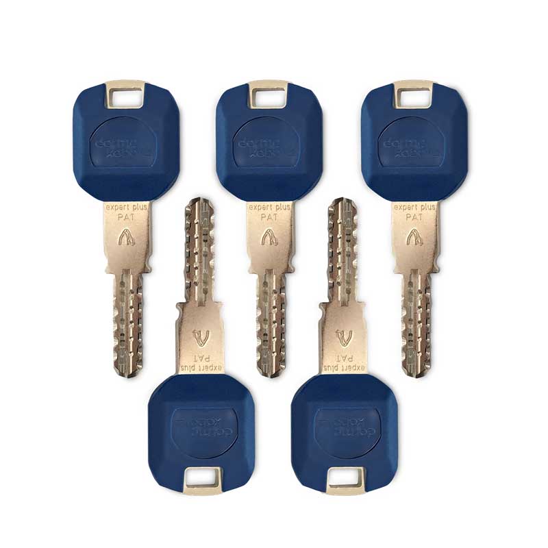 kaba expert plus precio comprar